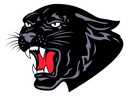 Saucon Valley logo