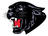 Saucon Valley logo